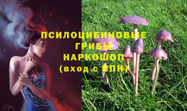 крисы Балахна