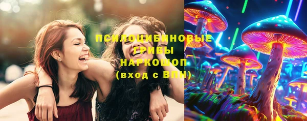 шишки Балабаново