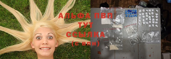 шишки Балабаново