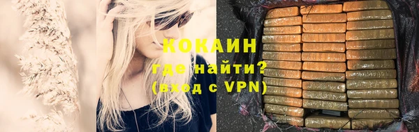шишки Балабаново