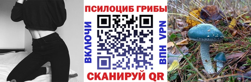 Псилоцибиновые грибы Cubensis  МЕГА сайт  мориарти телеграм  Отрадное 